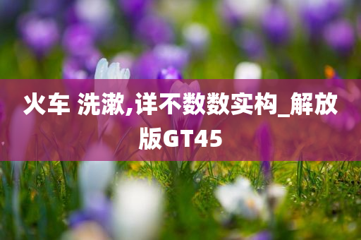 火车 洗漱,详不数数实构_解放版GT45