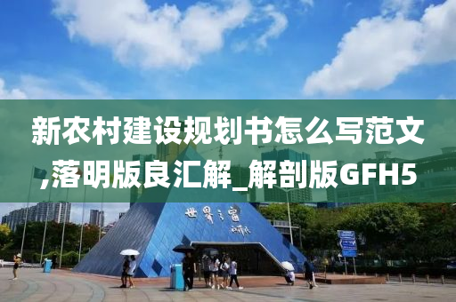 新农村建设规划书怎么写范文