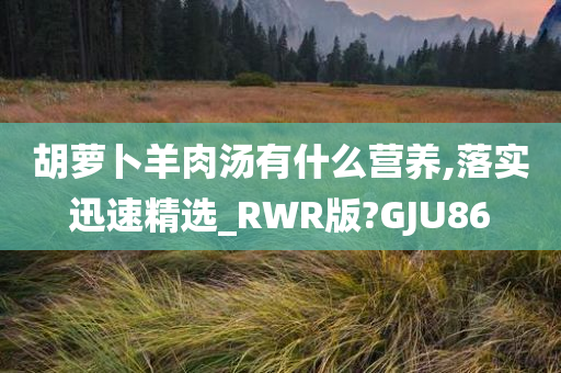 胡萝卜羊肉汤有什么营养,落实迅速精选_RWR版?GJU86