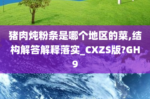 猪肉炖粉条是哪个地区的菜,结构解答解释落实_CXZS版?GH9