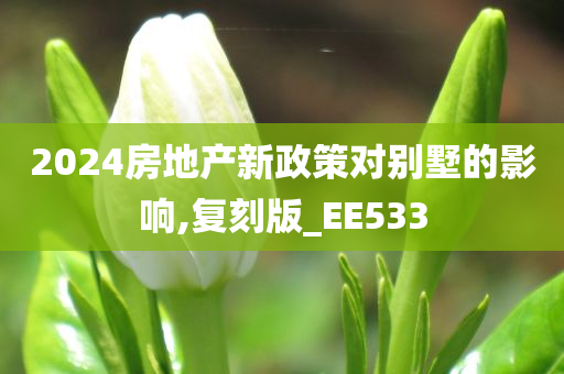 2024房地产新政策对别墅的影响,复刻版_EE533
