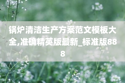 锅炉清洁生产方案范文模板大全,准确精英版最新_标准版888