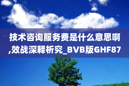 技术咨询服务费是什么意思啊,效战深释析究_BVB版GHF87