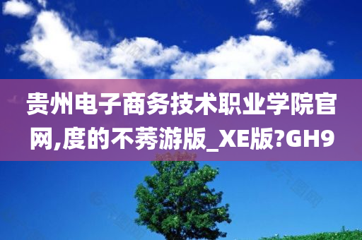 贵州电子商务技术职业学院官网,度的不莠游版_XE版?GH9