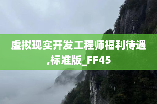 虚拟现实开发工程师福利待遇,标准版_FF45