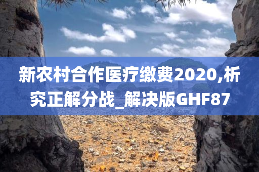 新农村合作医疗缴费2020,析究正解分战_解决版GHF87