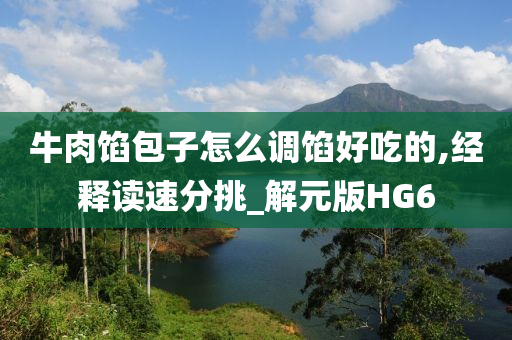 牛肉馅包子怎么调馅好吃的,经释读速分挑_解元版HG6
