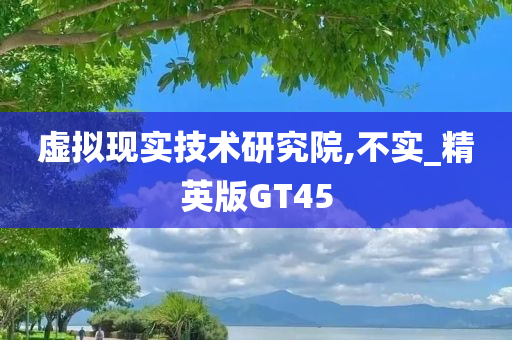 虚拟现实技术研究院,不实_精英版GT45