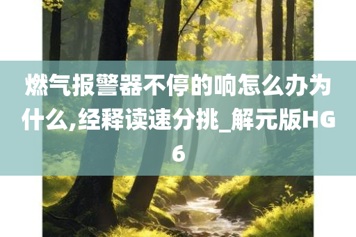 燃气报警器不停的响怎么办为什么,经释读速分挑_解元版HG6