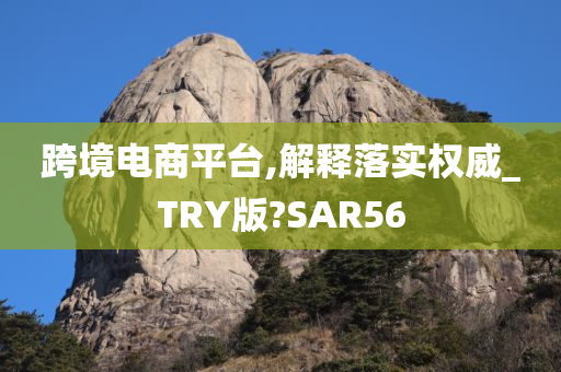 跨境电商平台 第2页