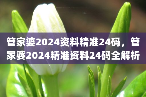 管家婆2024资料精准24码，管家婆2024精准资料今晚必出三肖2025_2025新澳门精准免费提供·精确判断24码全解析
