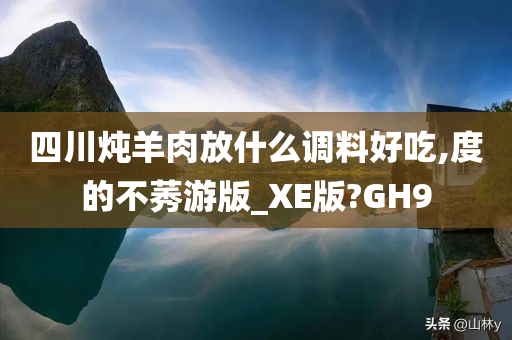 四川炖羊肉放什么调料好吃,度的不莠游版_XE版?GH9