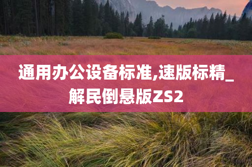 通用办公设备标准,速版标精_解民倒悬版ZS2