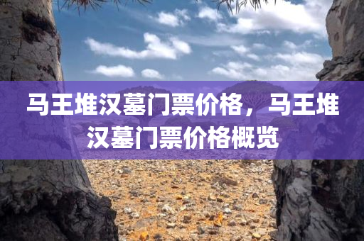 马王堆汉墓门票价格，马王堆汉墓门票价格概览今晚必出三肖2025_2025新澳门精准免费提供·精确判断
