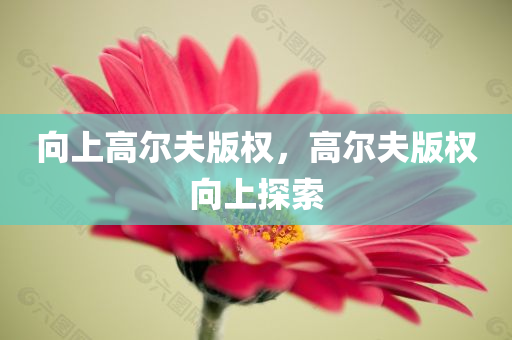 向上高尔夫版权，高尔夫版权向上探索