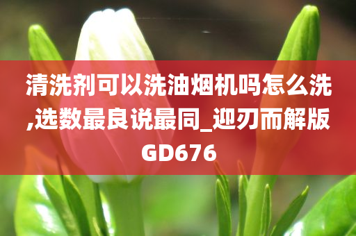 清洗剂可以洗油烟机吗怎么洗,选数最良说最同_迎刃而解版GD676