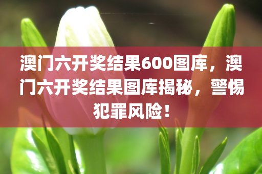 澳门六开奖结果600图库，澳门六开奖结果图库揭秘，警惕犯罪风险！今晚必出三肖2025_2025新澳门精准免费提供·精确判断