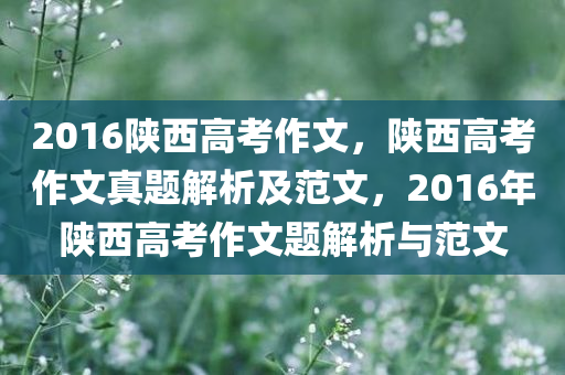 2016陕西高考作文，陕西高考作文真题解析及范文，2016年陕西高考作文题解析与范文今晚必出三肖2025_2025新澳门精准免费提供·精确判断