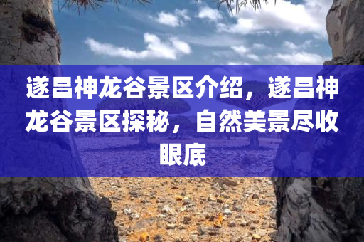 遂昌神龙谷景区介绍，遂昌神龙谷景区探秘，自然美景尽收眼底今晚必出三肖2025_2025新澳门精准免费提供·精确判断