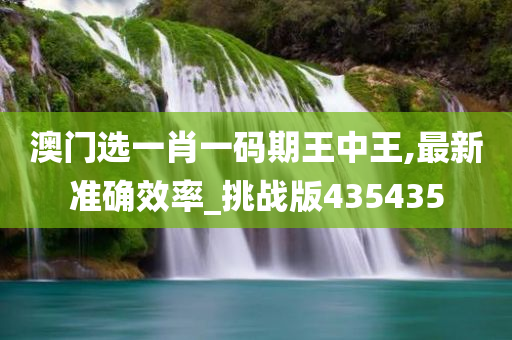 澳门选一肖一码期王中王,最新准确效率_挑战版435435