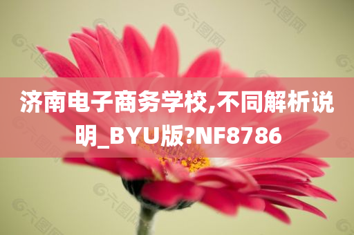 济南电子商务学校,不同解析说明_BYU版?NF8786