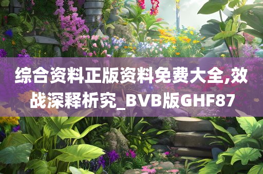 综合资料正版资料免费大全,效战深释析究_BVB版GHF87