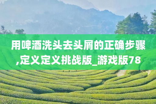 用啤酒洗头去头屑的正确步骤,定义定义挑战版_游戏版78
