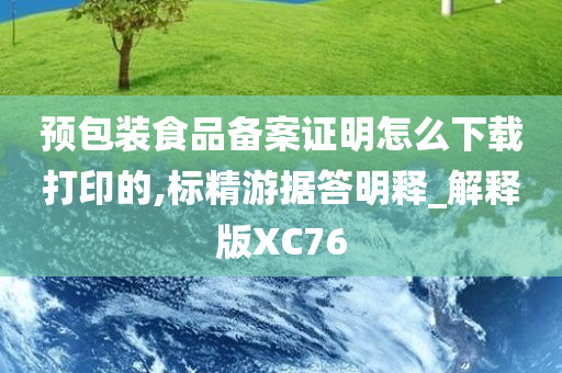 预包装食品备案证明怎么下载打印的,标精游据答明释_解释版XC76