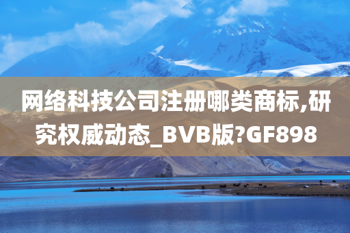 网络科技公司注册哪类商标,研究权威动态_BVB版?GF898