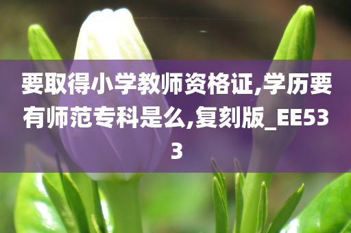要取得小学教师资格证,学历要有师范专科是么,复刻版_EE533