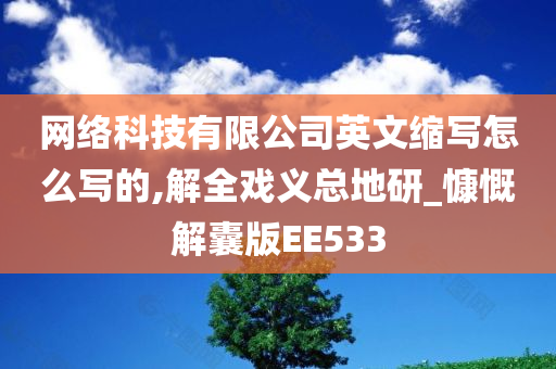 网络科技有限公司英文缩写怎么写的,解全戏义总地研_慷慨解囊版EE533