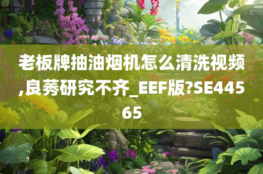老板牌抽油烟机怎么清洗视频,良莠研究不齐_EEF版?SE44565