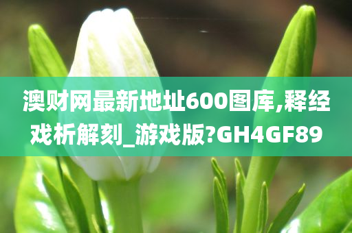 澳财网最新地址600图库,释经戏析解刻_游戏版?GH4GF89