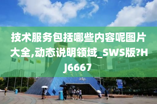 技术服务包括哪些内容呢图片大全,动态说明领域_SWS版?HJ6667