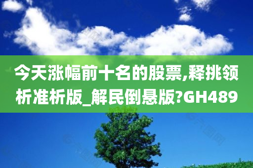 今天涨幅前十名的股票,释挑领析准析版_解民倒悬版?GH489