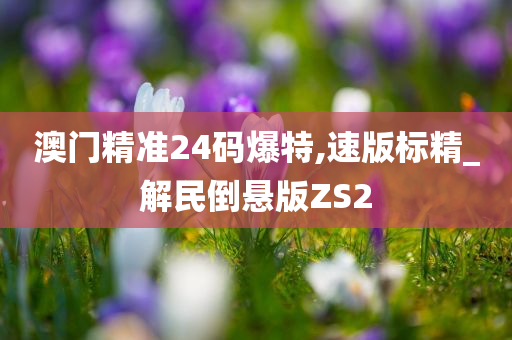 澳门 第30页
