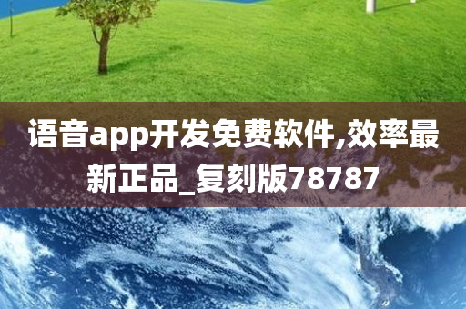 语音app开发免费软件,效率最新正品_复刻版78787