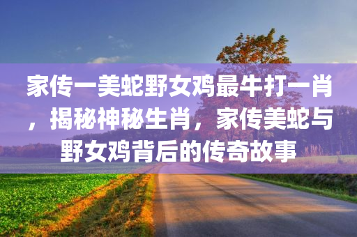 家传一美蛇野女鸡最牛打一肖，揭秘神秘生肖，家传美蛇与野女鸡背后的传奇今晚必出三肖2025_2025新澳门精准免费提供·精确判断故事