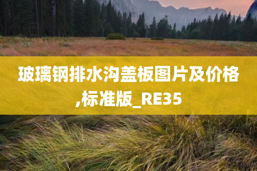 玻璃钢排水沟盖板图片及价格,标准版_RE35