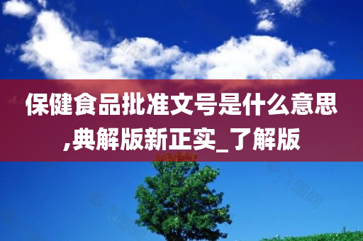 保健食品批准文号是什么意思,典解版新正实_了解版