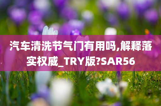 汽车清洗节气门有用吗,解释落实权威_TRY版?SAR56