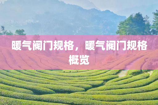 暖气阀门规格，暖气阀门规格概览今晚必出三肖2025_2025新澳门精准免费提供·精确判断