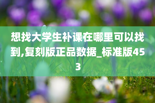 想找大学生补课在哪里可以找到,复刻版正品数据_标准版453