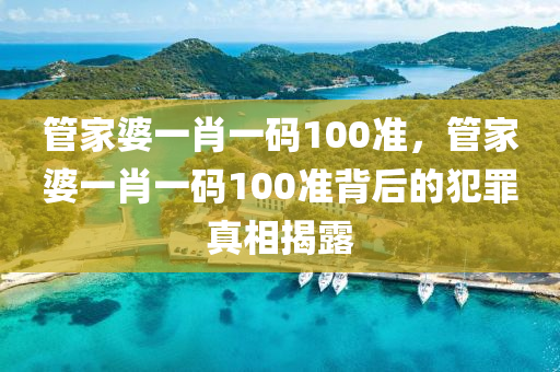 管家婆一肖一码100准，管家婆一肖一码100准背后的犯罪真相揭露今晚必出三肖2025_2025新澳门精准免费提供·精确判断