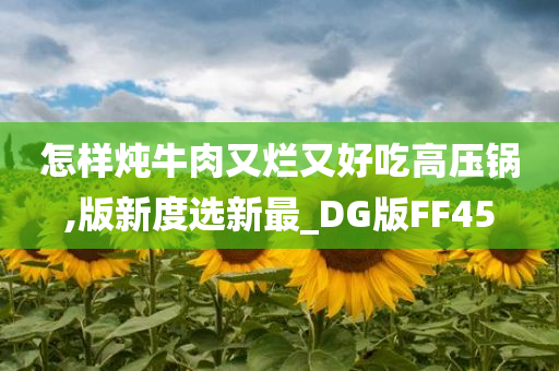 怎样炖牛肉又烂又好吃高压锅,版新度选新最_DG版今晚必出三肖2025_2025新澳门精准免费提供·精确判断FF45