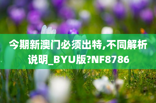 今期新澳门必须出特,不同解析说明_BYU版?NF8786