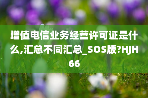 增值电信业务经营许可证是什么,汇总不同汇总_SOS版?HJH66