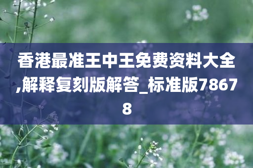 王中王 第6页