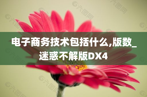 电子商务技术包括什么,版数_迷惑不解版DX4
