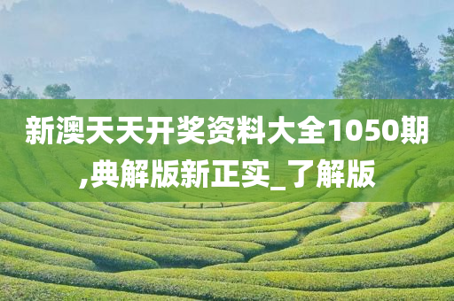 新澳天天开奖资料大全1050期,典解版新正实_了解版
